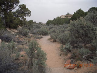 Canyonlands Needles - Roadside Ruin hike