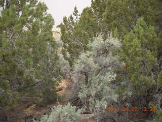 181 7j8. Canyonlands Needles - Roadside Ruin hike