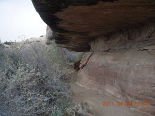 195 7j8. Canyonlands Needles - Cave Spring hike