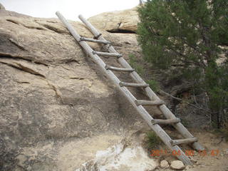 202 7j8. Canyonlands Needles - Cave Spring hike - ladder