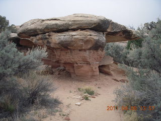 Canyonlands Needles - Cave Spring hike - ladder