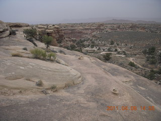 Canyonlands Needles Slickrock hike