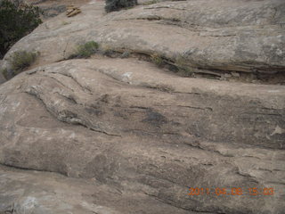 Canyonlands Needles Slickrock hike