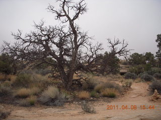 Canyonlands Needles Slickrock hike - Adam (tripod)