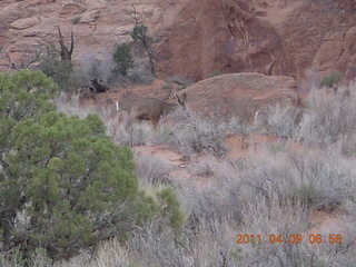 Arches National Park drive