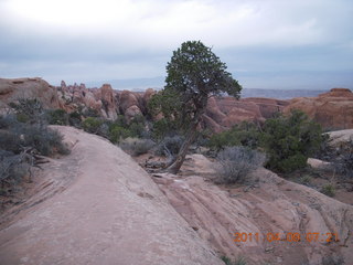 Arches Devil's Garden hike - mule deer