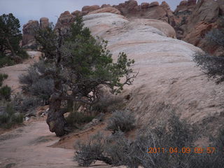 Arches Devil's Garden hike - flying raven