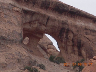 Arches Devil's Garden hike - raven