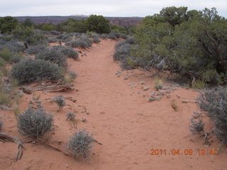 168 7j9. Dead Horse Point hike