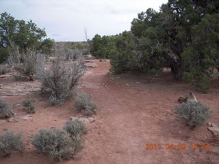 277 7j9. Dead Horse Point - Basin View hike