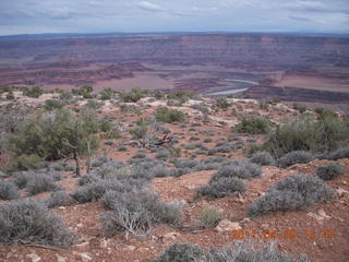 Dead Horse Point - Basin View hike