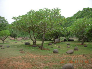 India - Auroville rocks and topiary