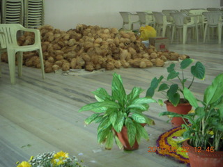 India - wedding location - lunch - Puducherry (Pondicherry) - coconuts