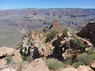 Norbert's pictures - Grand Canyon trip - cactus and flower