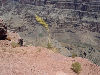 Guano Point