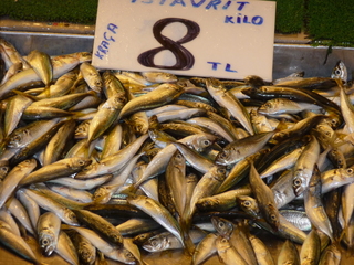 Michael C's pictures - Turkey - Istanbul