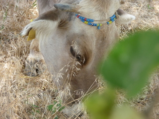 Michael C's pics - hiking in Turkey