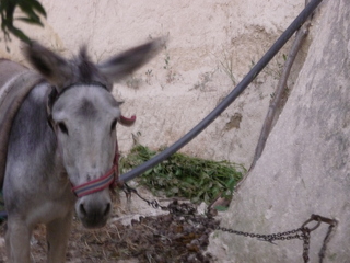 Michael C's pics - hiking in Turkey