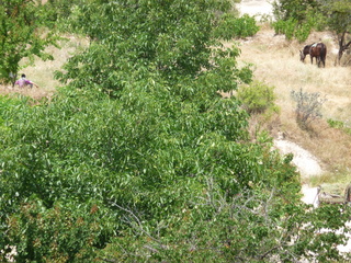 Michael C's pics - hiking in Turkey