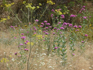 Michael C's pics - hiking in Turkey