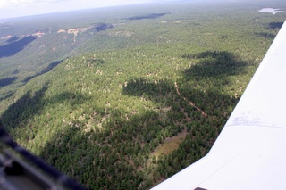 Sean's pictures - aerial