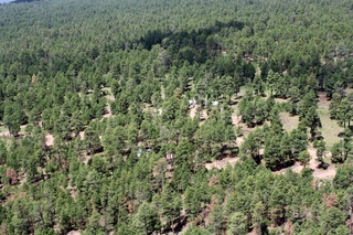 Sean's pictures - aerial