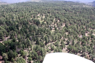 Sean's pictures - aerial