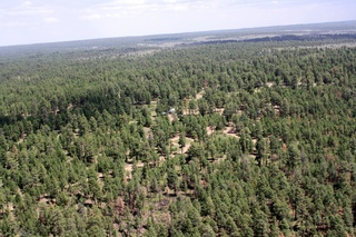 Sean's pictures - aerial