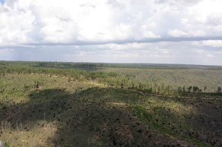 Sean's pictures - aerial