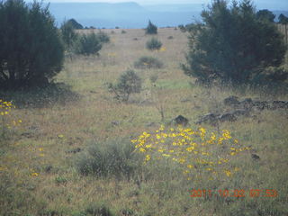 Beaverhead run