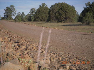 Beaverhead run