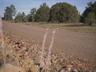 Beaverhead run