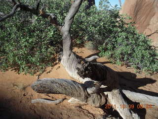 Arches National Park - Devil's Garden hike - Dark Angel