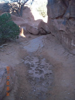 55 7q9. Arches National Park - Devil's Garden hike