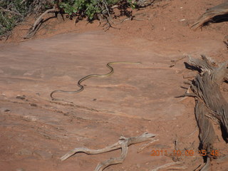 Dead Horse Point hike