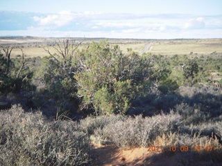 161 7q9. Dead Horse Point hike