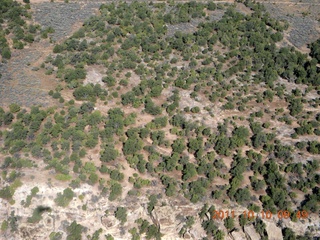 aerial - Cedar Mountain area