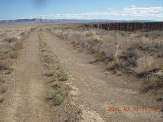 Sand Wash airstrip run