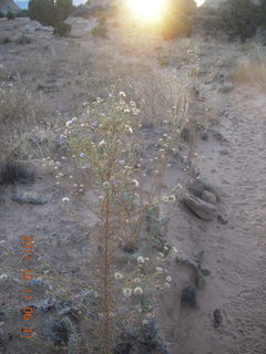 13 7qb. Canyonlands National Park - Lathrop trail hike - sunrise