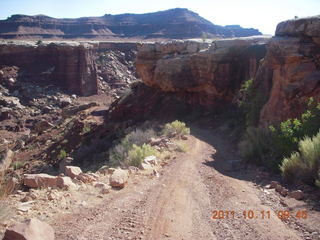 Canyonlands National Park - Lathrop trail hike - lizard