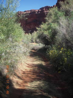 104 7qb. Canyonlands National Park - Lathrop trail hike