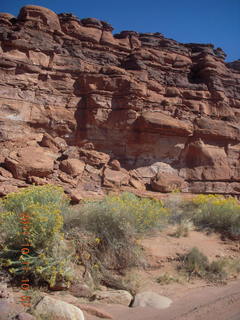 Canyonlands National Park - Lathrop trail hike - Colorado River - Adam looking from behind