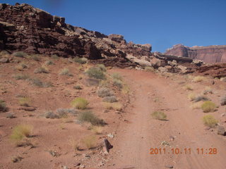 Canyonlands National Park - Lathrop trail hike