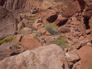 177 7qb. Canyonlands National Park - Lathrop trail hike