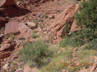 Canyonlands National Park - Lathrop trail hike