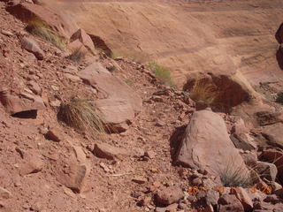 185 7qb. Canyonlands National Park - Lathrop trail hike