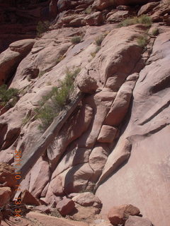 187 7qb. Canyonlands National Park - Lathrop trail hike