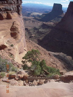 Canyonlands National Park - Lathrop trail hike