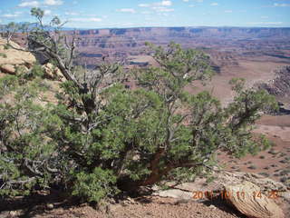 197 7qb. Canyonlands National Park - Lathrop trail hike