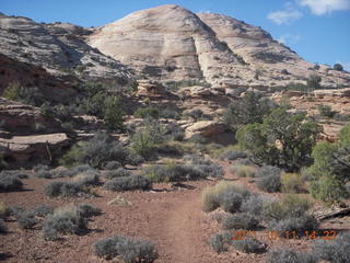 Canyonlands National Park - Lathrop trail hike - lichens on rock